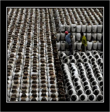 酒水行業(yè):中國(guó)釀酒行業(yè)的最新發(fā)展趨勢(shì) 酒水行業(yè):中國(guó)釀酒行業(yè)的最新發(fā)展趨勢(shì)