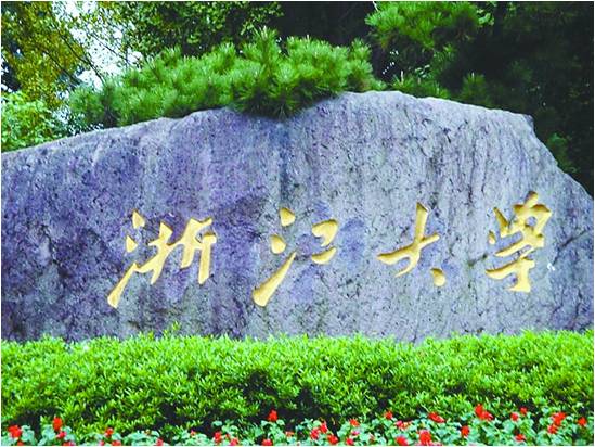 《建設高效衛(wèi)生服務團隊》—蔣小華