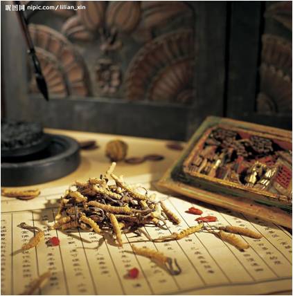 醫(yī)藥行業(yè)：十二五期間中國(guó)將支持構(gòu)建中藥材三大支持體系