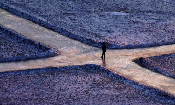 在人生的十字路口，請選擇難走的那條路