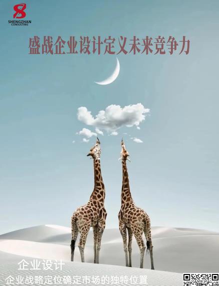 企業(yè)設(shè)計(jì)：企業(yè)戰(zhàn)略定位是確定市場的獨(dú)特位置